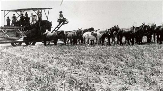 Ballena 1911. The Warnocks, Peppers & McIntosh Threshing Crew.